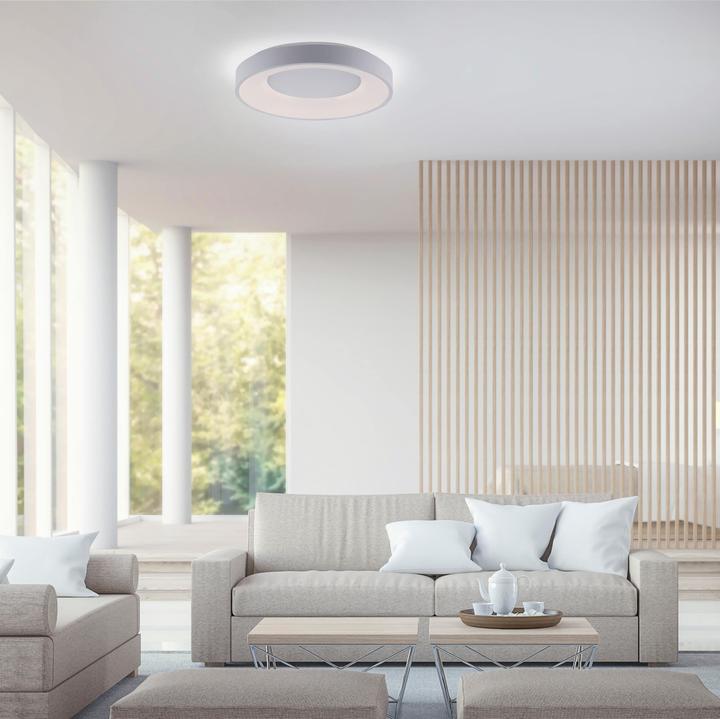 Actual product image Paul Neuhaus Anika (3200 lm)