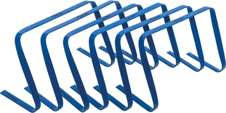 Precision Flache Hecke