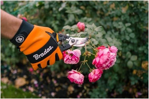 Actual product image Bradas V-SERIES pruning shears continuous blade SK5 steel