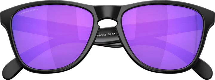 Produktbild Oakley Frogskins S