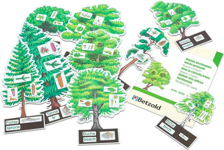 Actual product image Betzold Determine trees made easy (German, 6 - 10 years)