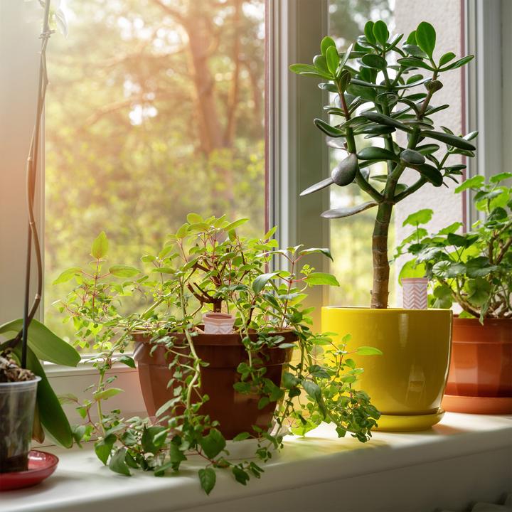 Actual product image Relaxdays 4x clay cone (Clay cone)