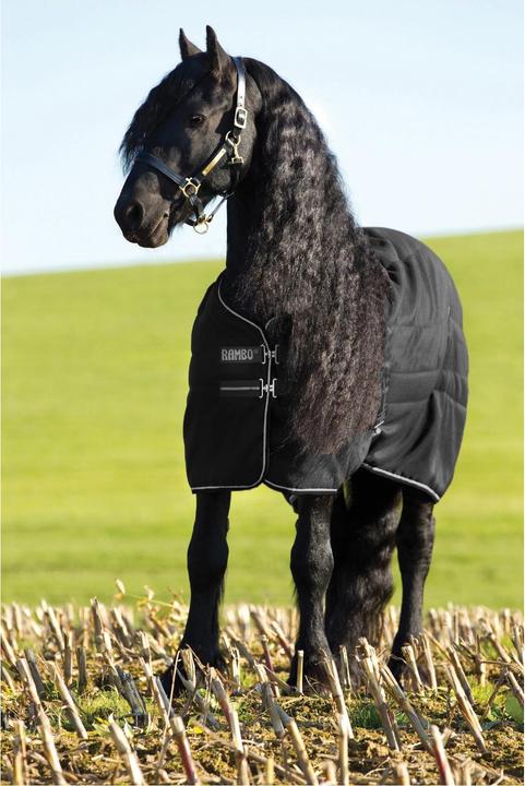 Produktbild Horseware stalldecke für ponys rambo 100g (140 cm)