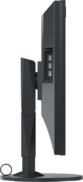 Produktbild Eizo Cg318-4k (4096 x 2160 Pixel, 31.10")