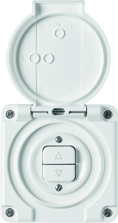 Actual product image Feller NUP with 2 function buttons white