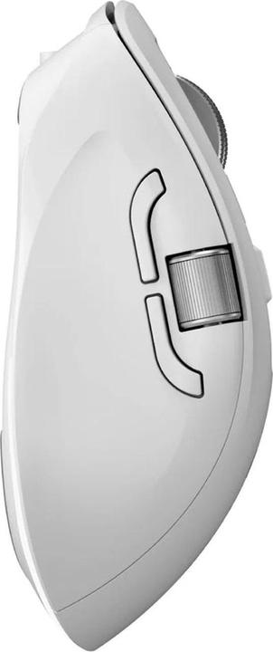 Actual product image Alogic Apex Bluetooth USB-C Rechargeab (Wireless)