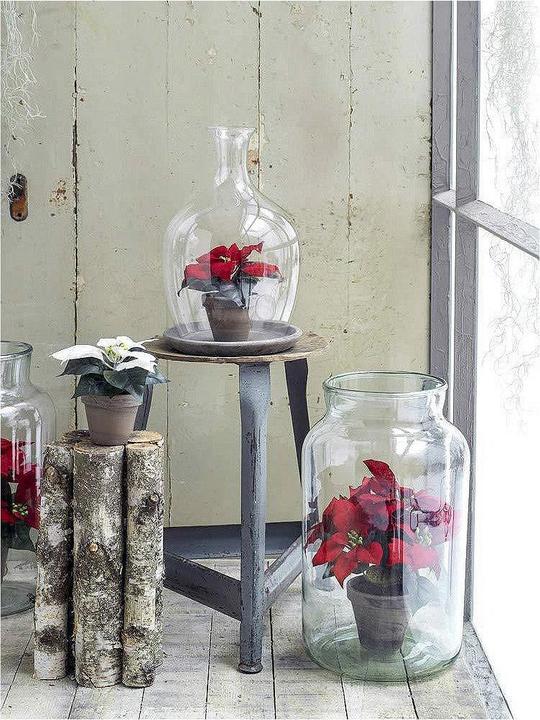 Produktbild Mica Decorations Dekorationspflanze Rot PVC (27 cm)