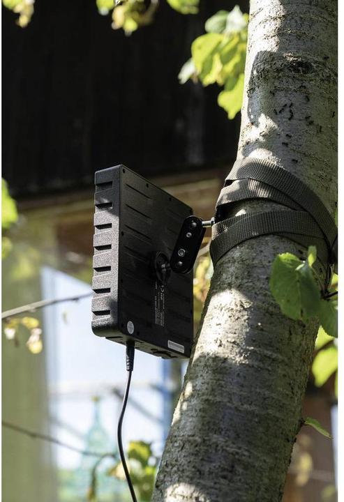 Actual product image Dörr Li-1500 12V/6V 204446 Solar panel