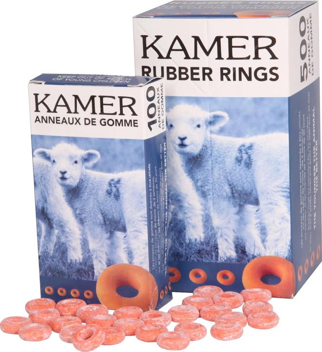 Produktbild Kamer Gummiringe (100 Stk.)