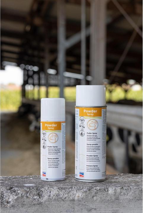 Produktbild AgroChemica Chinoseptan Puderspray (Hund, 400 ml)