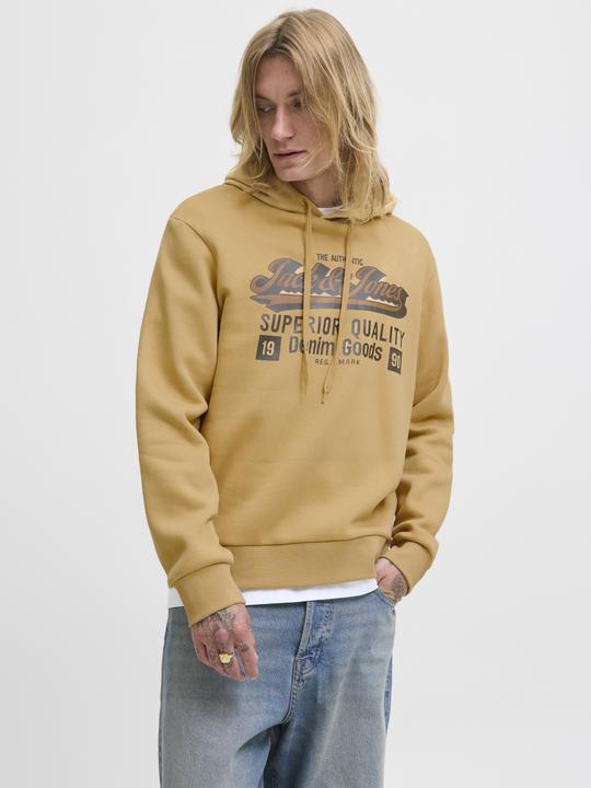 Produktbild Jack & Jones JJELOGO SWEAT HOOD 2 COL 25/26 NOOS (M)