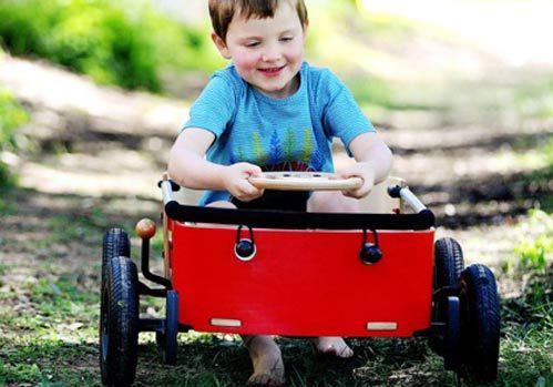 Actual product image Wishbone Wagon