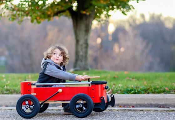 Actual product image Wishbone Wagon