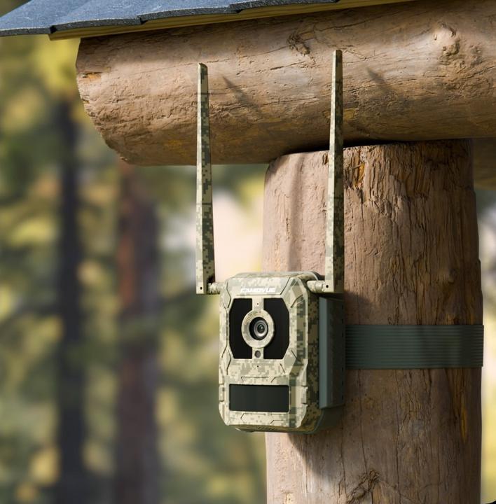 Image du produit Reolink Talon Pro 4G Trail Camera for Outdoor Use