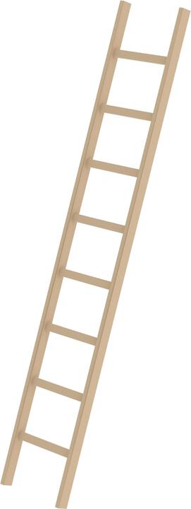 Munk Wooden single ladder (Single ladder, 248 cm)