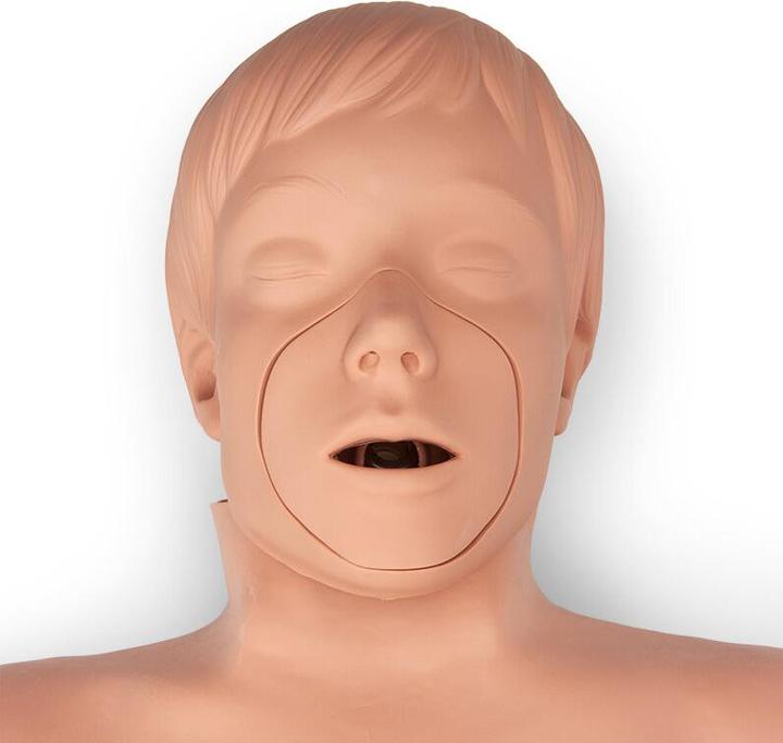 Actual product image Tasmanian Tiger TT Warrior Belt MK IV Black-M (M)