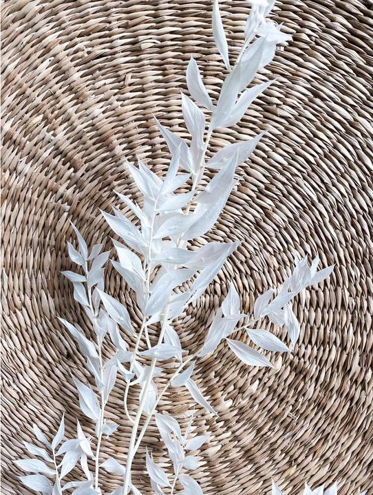 Produktbild Soli Collection Trockenblumen Ruscus 70-75 cm, Weiss (Trockenblumen)