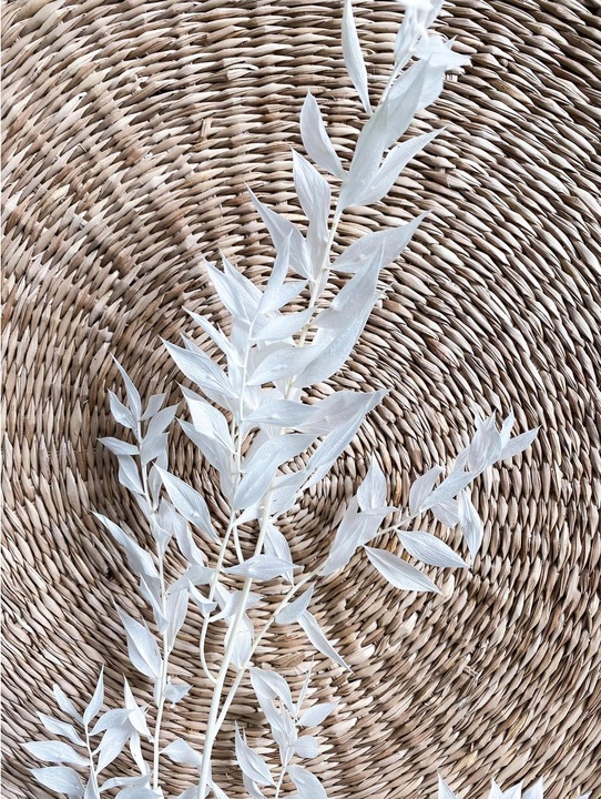 Immagine prodotto Soli Collection Fiori secchi Ruscus 70-75 cm, Bianco (Fiori secchi)