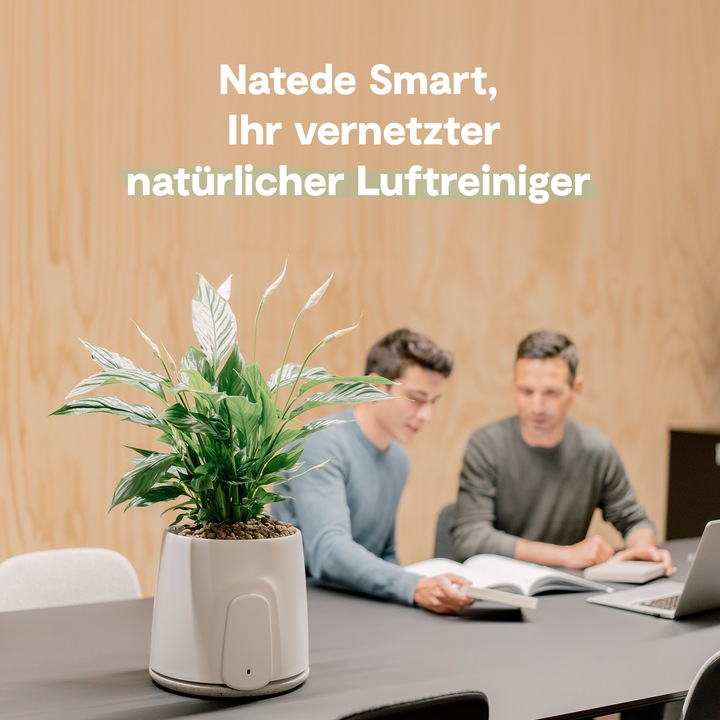 Actual product image Vitesy Natede Smart (20 m²)