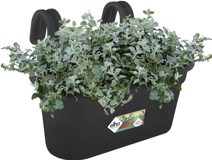 Productafbeelding Elho Easy Hanger Green Basics (26.30 cm)