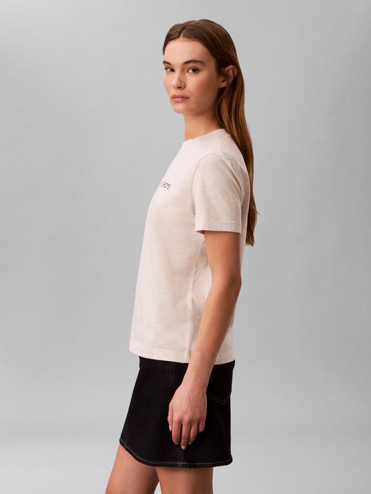 Actual product image Calvin Klein Jeans A- Inst Logo Classic Tee Ss (XL)