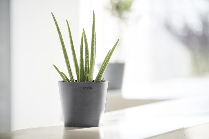 Actual product image Ecopots Amsterdam Mini (17 cm)