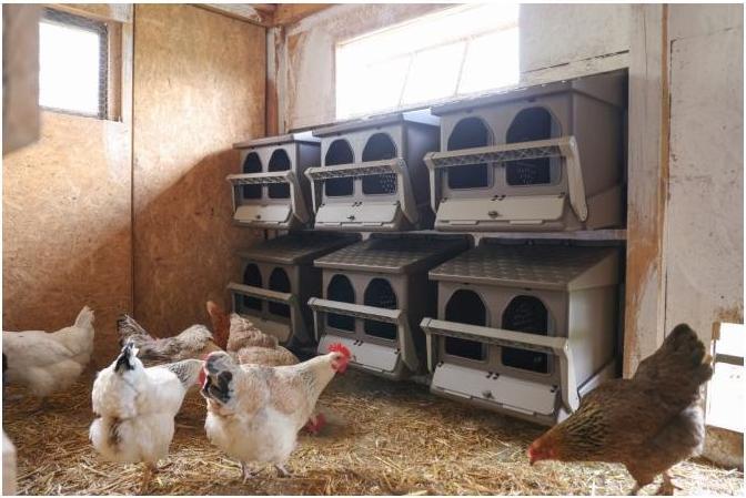 Produktbild Kerbl Doppellegenest