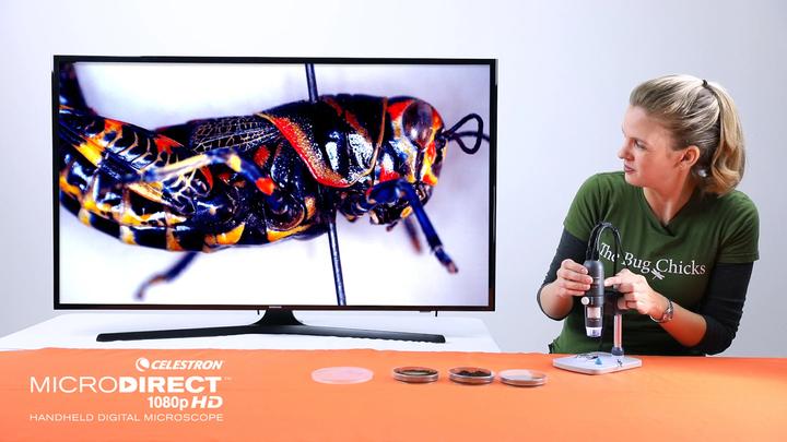 Actual product image Celestron Microdirect 1080p 220x Digital Microscope