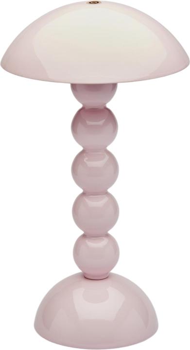 Rose pâle Rose pâle