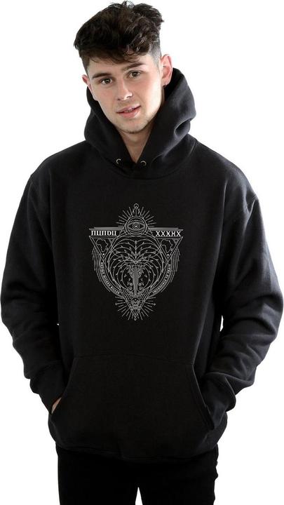 Image du produit Fantastic Beasts - Sweat à capuche WIZARD KILLER ICON - Homme (3XL)