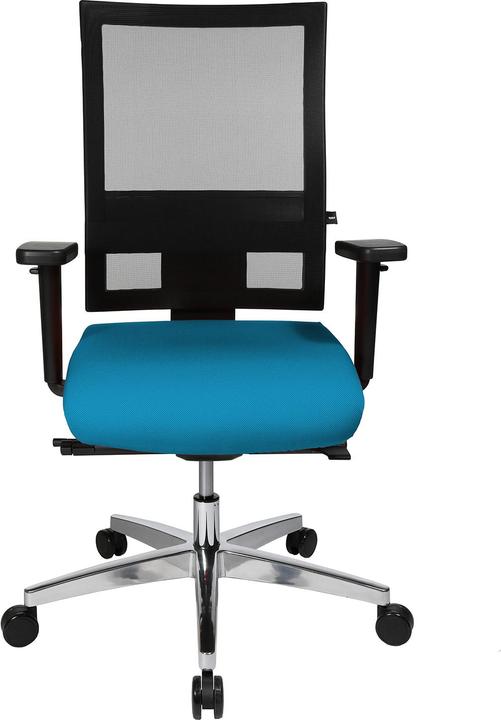 Actual product image Topstar Profi Net 11