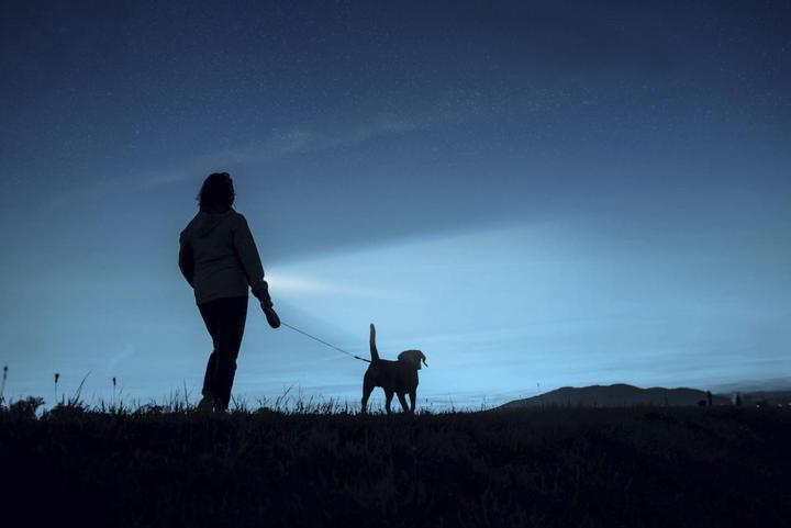 Produktbild Ansmann LED Taschenlampe Daily Use 150B inkl. 2xAA (2.20 cm, 150 lm)