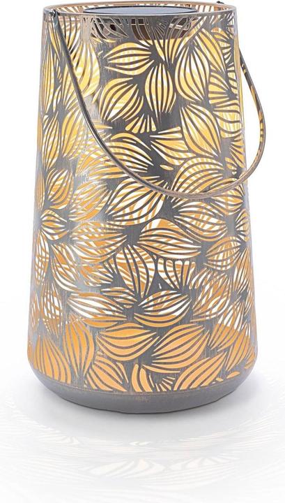 Image du produit STT Flora