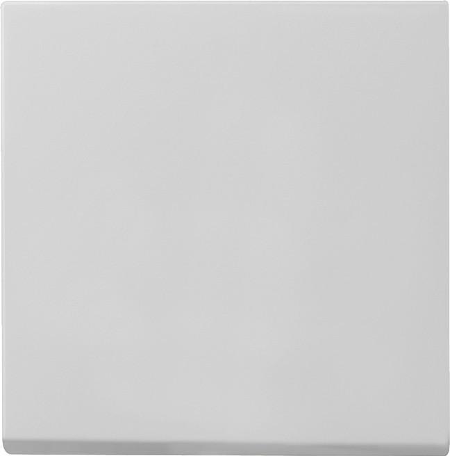 Actual product image Gira Rocker System 55 grey m 0296015