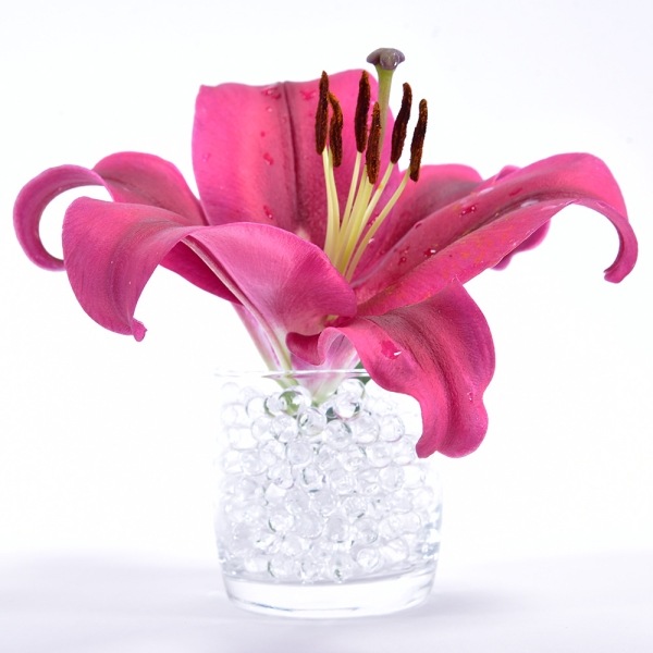 Actual product image Kögler Wasserperlen