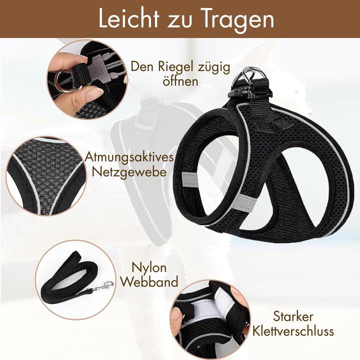 Actual product image Suba Katzengeschirr (M, Cat, General)
