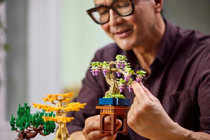Produktbild LEGO Mini-Bonsais Set (10373, LEGO Botanical)