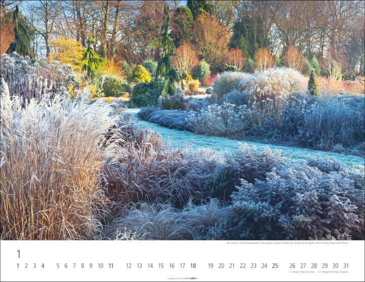 Produktbild Gräser Kalender 2026 (44 x 34 cm)