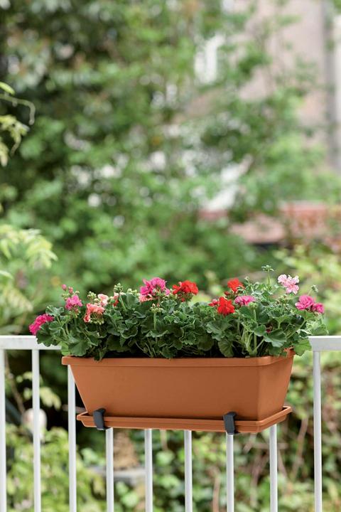 Image du produit Elho Barcelona (20 cm)