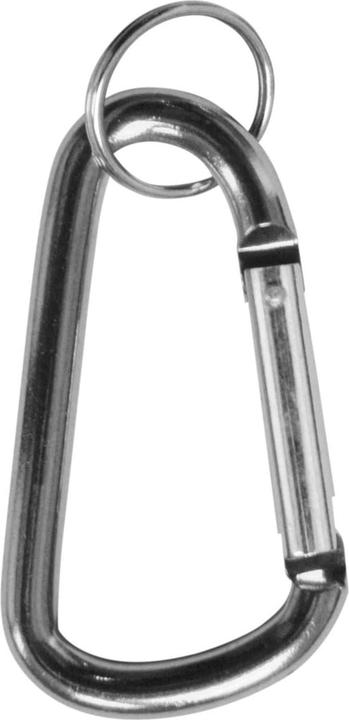 Actual product image Meister Key carabiner