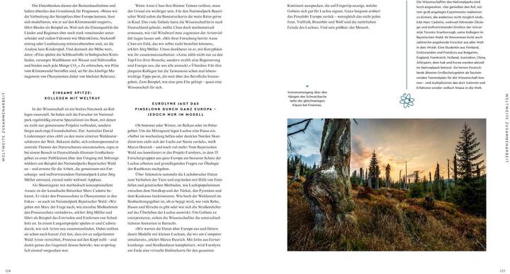 Actual product image Wilder Wald (German, Alexandra von Poschinger, 2020)