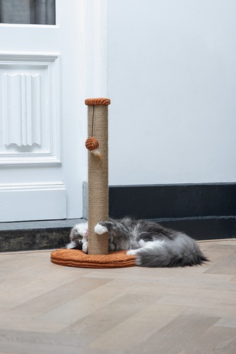 Image du produit Designed by Lotte Arbre à chat (70 cm, Terre cuite, Marron)