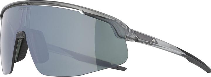 Actual product image Alpina Turbo Pro Q-Lite (Dark Grey Transparent, Silver)