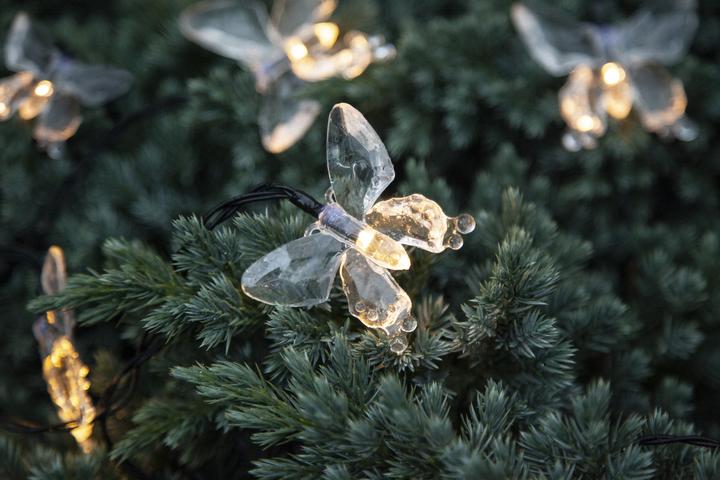 Immagine prodotto Star Trading Papillon (0.18 m)