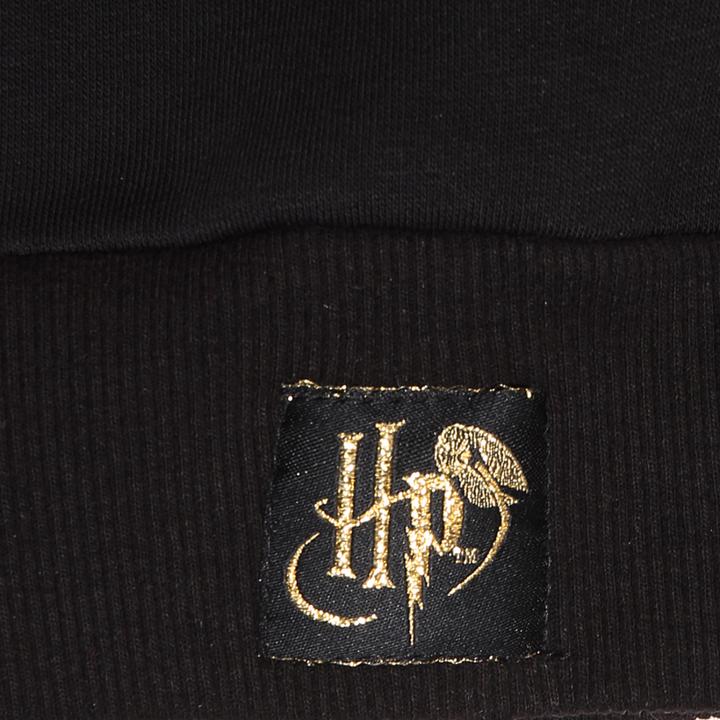 Produktbild - Property Of Gryffindor (SuperHeroes Inc. Contrast Pullover) (L)