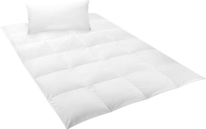 Image du produit Erwin Müller Grafing (770 g, Duvet, 220 x 155 cm)