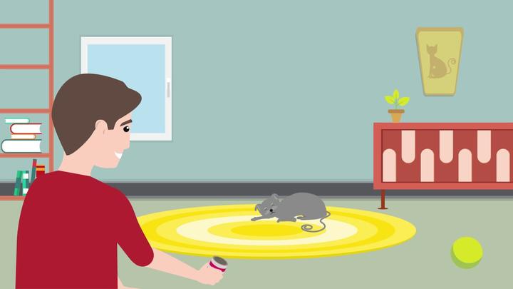 Image du produit RelaxoPet PRO Dresseur de chat pour la relaxation des animaux (Chat)