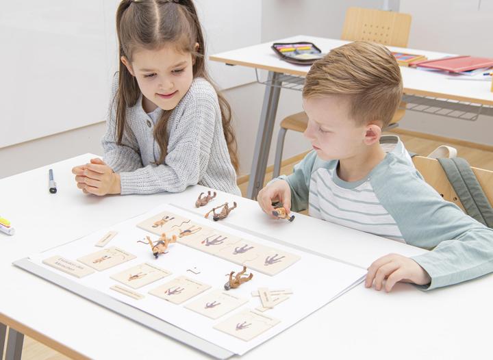 Produktbild Betzold Lebenszyklen-Set
