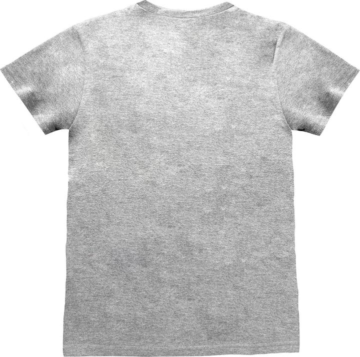 Actual product image Nintendo Legend Of Zelda Tshirt (XL)