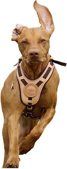 Actual product image Niggeloh Mantrailing harness (L, XL, Dog, Work)